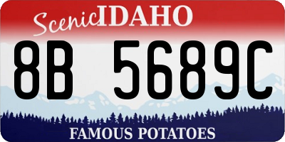 ID license plate 8B5689C