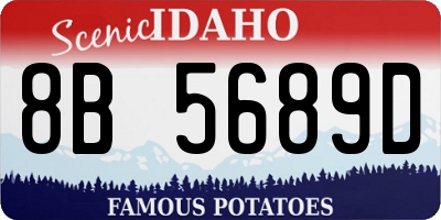ID license plate 8B5689D
