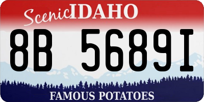ID license plate 8B5689I