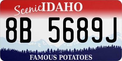 ID license plate 8B5689J