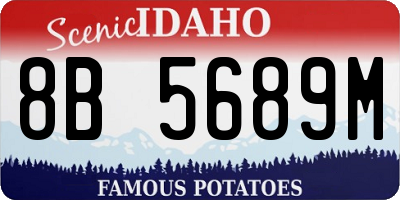 ID license plate 8B5689M