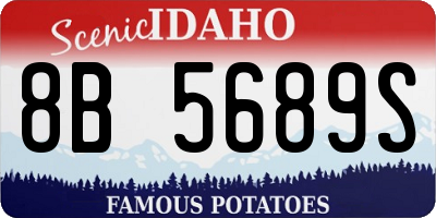 ID license plate 8B5689S