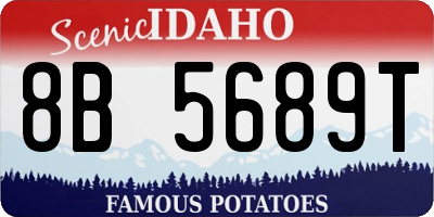 ID license plate 8B5689T
