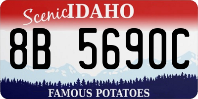 ID license plate 8B5690C