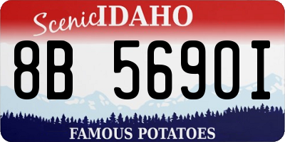 ID license plate 8B5690I