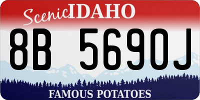 ID license plate 8B5690J
