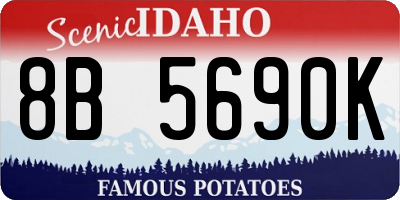 ID license plate 8B5690K