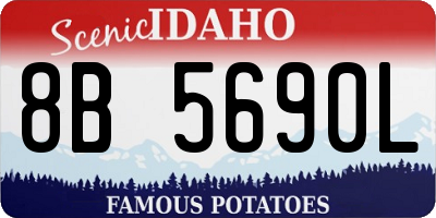 ID license plate 8B5690L