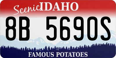 ID license plate 8B5690S