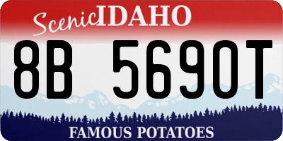 ID license plate 8B5690T
