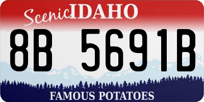 ID license plate 8B5691B
