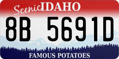 ID license plate 8B5691D