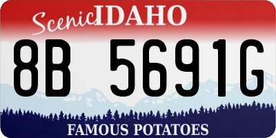 ID license plate 8B5691G