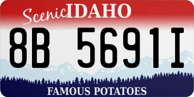 ID license plate 8B5691I