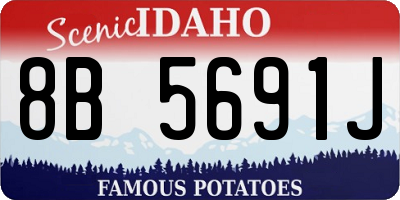 ID license plate 8B5691J