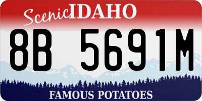 ID license plate 8B5691M