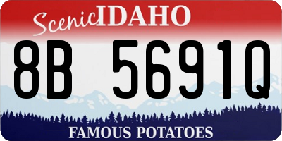 ID license plate 8B5691Q