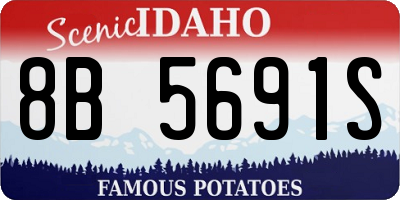 ID license plate 8B5691S