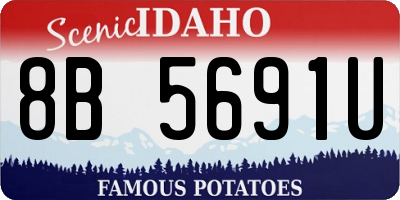 ID license plate 8B5691U