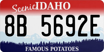 ID license plate 8B5692E