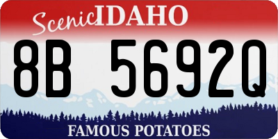 ID license plate 8B5692Q