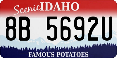 ID license plate 8B5692U