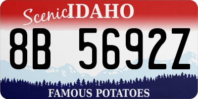 ID license plate 8B5692Z
