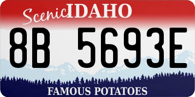 ID license plate 8B5693E