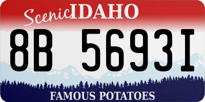 ID license plate 8B5693I