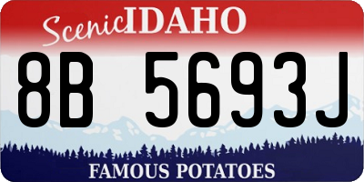 ID license plate 8B5693J