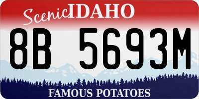 ID license plate 8B5693M
