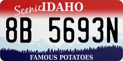 ID license plate 8B5693N