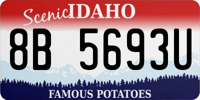 ID license plate 8B5693U