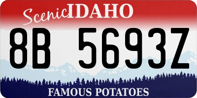 ID license plate 8B5693Z