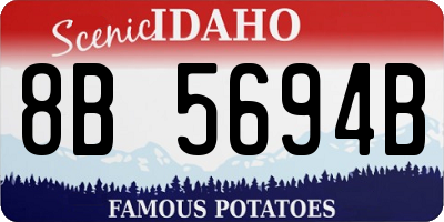 ID license plate 8B5694B