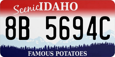 ID license plate 8B5694C