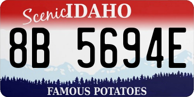 ID license plate 8B5694E