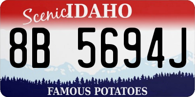 ID license plate 8B5694J