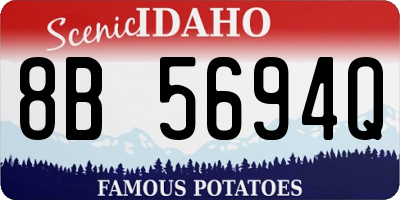 ID license plate 8B5694Q