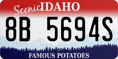 ID license plate 8B5694S