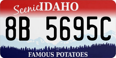 ID license plate 8B5695C