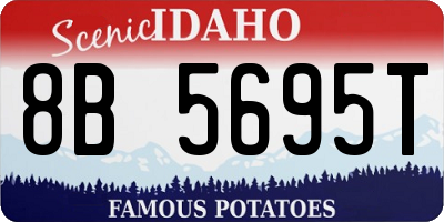 ID license plate 8B5695T