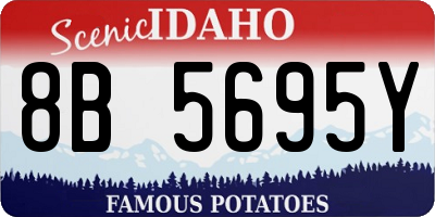 ID license plate 8B5695Y