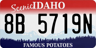 ID license plate 8B5719N