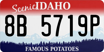 ID license plate 8B5719P