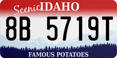 ID license plate 8B5719T