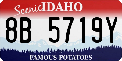 ID license plate 8B5719Y