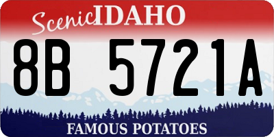 ID license plate 8B5721A