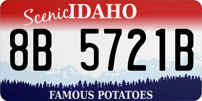 ID license plate 8B5721B