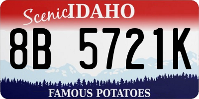 ID license plate 8B5721K